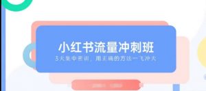 小红书流量冲刺班2025，最懂小红书的女人，快速教你2025年入局小红书-Xiaobei云