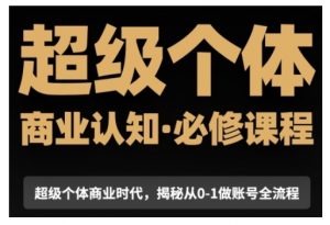 超级个体商业认知觉醒视频课,商业认知·必修课程揭秘从0-1账号全流程-Xiaobei云
