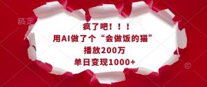疯了吧！用AI做了个“会做饭的猫”，播放200万，单日变现1k-Xiaobei云