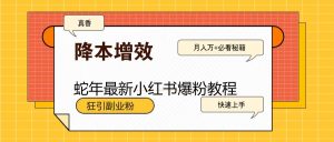 蛇年最新小红书爆粉教程，狂引副业粉，月入万+必看-Xiaobei云