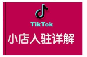 TikTok跨境小店运营全攻略,帮助你独立运营TK跨境小店的能力,实现销量增长-Xiaobei云