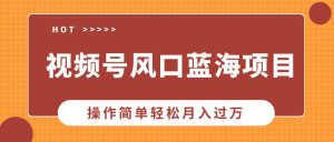 视频号风口蓝海项目，中老年人的流量密码，操作简单轻松月入过万-Xiaobei云