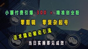 小额付费引爆 300 + 精准创业粉,零剪辑、零复杂起号,话术撬动被动引流,当日实操即见成效-Xiaobei云
