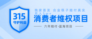 维Q赔付合金筷子玩法小白也能月入5w+风口项目实操-Xiaobei云