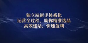独立站新手体系化 运营全过程,助你精准选品、高效建站、快速盈利-Xiaobei云