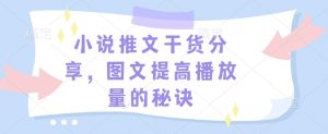 小说推文干货分享，图文提高播放量的秘诀-Xiaobei云