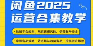 2025闲鱼电商运营全集，2025最新咸鱼玩法-Xiaobei云
