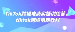 TikTok跨境电商实操训练营，tiktok跨境电商教程-Xiaobei云