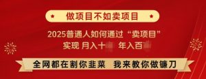 必看，做项目不如卖项目，2025普通人如何通过“卖项目”实现月入十个，年入百个-Xiaobei云