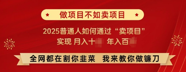 必看，做项目不如卖项目，2025普通人如何通过“卖项目”实现月入十个，年入百个-Xiaobei云