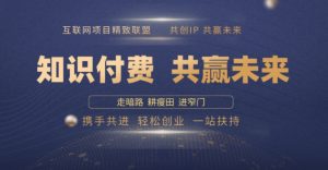 别人苦寻无果，为何他们靠知识付费卖项目 2025 年轻松年入100个?【揭秘】-Xiaobei云