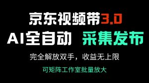 京东视频带货3.0，Ai全自动采集＋自动发布，完全解放双手，收入无上限…-Xiaobei云