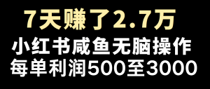全网首发，7天赚了2.6万，2025利润超级高！-Xiaobei云