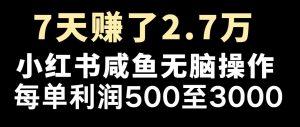 最赚钱项目之一，2025爆火，逆风翻盘！-Xiaobei云