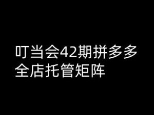 叮当会拼多多打爆班原创高阶技术第42期，拼多多全店托管矩阵-Xiaobei云