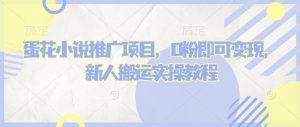 蛋花小说推文项目，0粉即可变现，新人搬运实操教程-Xiaobei云