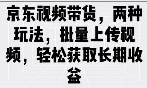 京东视频带货，两种玩法，批量上传视频，轻松获取长期收益-Xiaobei云