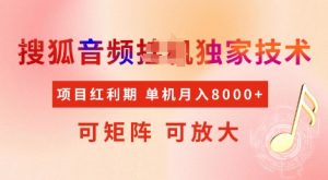 全网首发搜狐音频挂JI独家技术，项目红利期，可矩阵可放大，稳定月入8k【揭秘】-Xiaobei云