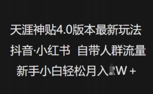 天涯神贴4.0版本最新玩法，抖音·小红书自带人群流量，新手小白轻松月入过W-Xiaobei云
