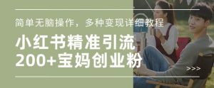 小红书混剪日引200+宝妈创业粉,简单无脑操作,多种变现详细教程-Xiaobei云
