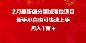 2月最新细分领域落地项目，新手小白也可快速上手，月入1W-Xiaobei云