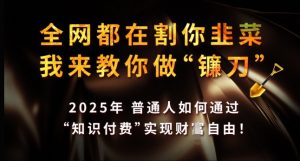 全网都在割你韭菜，我来教你做镰刀，2025年普通人如何通过 知识付费 实现财F自由【揭秘】-Xiaobei云