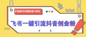 飞书一键引流抖音创业粉,不违规可 无限私信+评论-Xiaobei云
