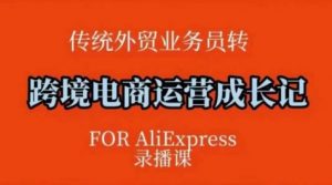 跨境电商速卖通运营课，​运营方法论+后台实操，逻辑清晰-Xiaobei云