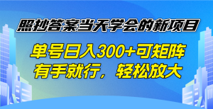 照抄答案当天学会的新项目，单号日入300 +可矩阵，有手就行，轻松放大-Xiaobei云