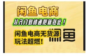 闲鱼电商实战课,从入门到精通秘籍在此,闲鱼电商无货源玩法超燃!-Xiaobei云