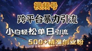 跨平台暴力引流，私域完美闭环，日引500+精准创业粉-Xiaobei云