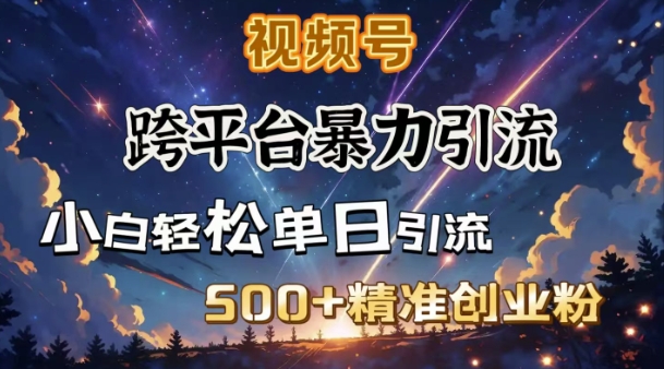 跨平台暴力引流，私域完美闭环，日引500+精准创业粉-Xiaobei云