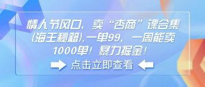 情人节风口，卖“杏商”课合集(海王秘籍-Xiaobei云