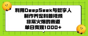 利用DeepSeek与数字人制作养宠科普视频,非常火爆的赛道,单日变现多张-Xiaobei云