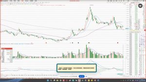 大师兄·鹿鼎山系列内部课程(更新2025年1月)-Xiaobei云