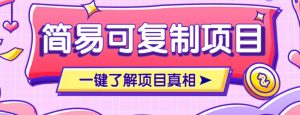 简易可复制的小众项目,每天投入3分钟,单笔可达200+【附操作流程说明】-Xiaobei云
