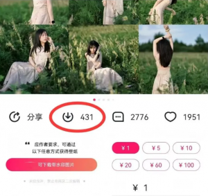 最新图虫搬运项目，收益无上限，利用AI小白也可日赚500+-Xiaobei云