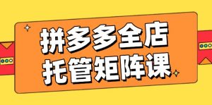 拼多多全店托管矩阵课，盈利动销玩法，高效计划设置，提升店铺效益-Xiaobei云