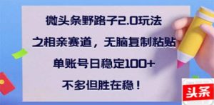 微头条野路子2.0玩法之相亲赛道，无脑搬砖复制粘贴，单账号日稳定300+...-Xiaobei云