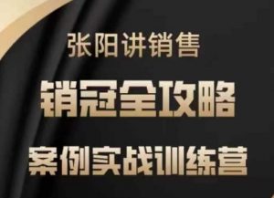 张阳讲销售实战训练营，​案例实战训练，销冠全攻略-Xiaobei云