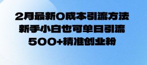 2月最新0成本引流方法，新手小白也可单日引流500+精准创业粉-Xiaobei云