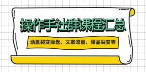 操盘手合伙人课程汇总:包含裂变操盘、文案流量、爆品裂变等多方面的内容-Xiaobei云