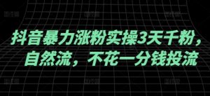 抖音暴力涨粉实操3天千粉,自然流,不花一分钱投流,实操经验分享-Xiaobei云