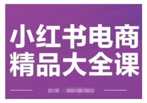 小红书电商精品大全课，快速掌握小红书运营技巧，实现精准引流与爆单目标，轻松玩转小红书电商(更新2月)-Xiaobei云