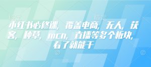 小红书必修课,覆盖电商,无人,获客,种草,mcn,直播等多个板块,看了就能干-Xiaobei云