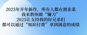 2025年开年新作，所有人都在割韭菜，我来教你做“镰刀” 2025让支持我的好兄弟们都可以通过“知识付费”拿到满意的成绩【揭秘】-Xiaobei云