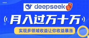用DeepSeek席卷各大平台，快速上手实现多领域，让你收入猛增-Xiaobei云