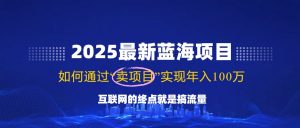 2025最新蓝海项目，零门槛轻松复制，月入10万+，新手也能操作！-Xiaobei云
