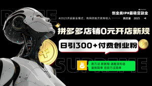 拼多多店铺0元开店新规,日引300+付费创业粉,目前方法简单复制粘贴可矩阵-Xiaobei云