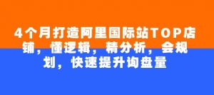 4个月打造阿里国际站TOP店铺,懂逻辑,精分析,会规划,快速提升询盘量-Xiaobei云